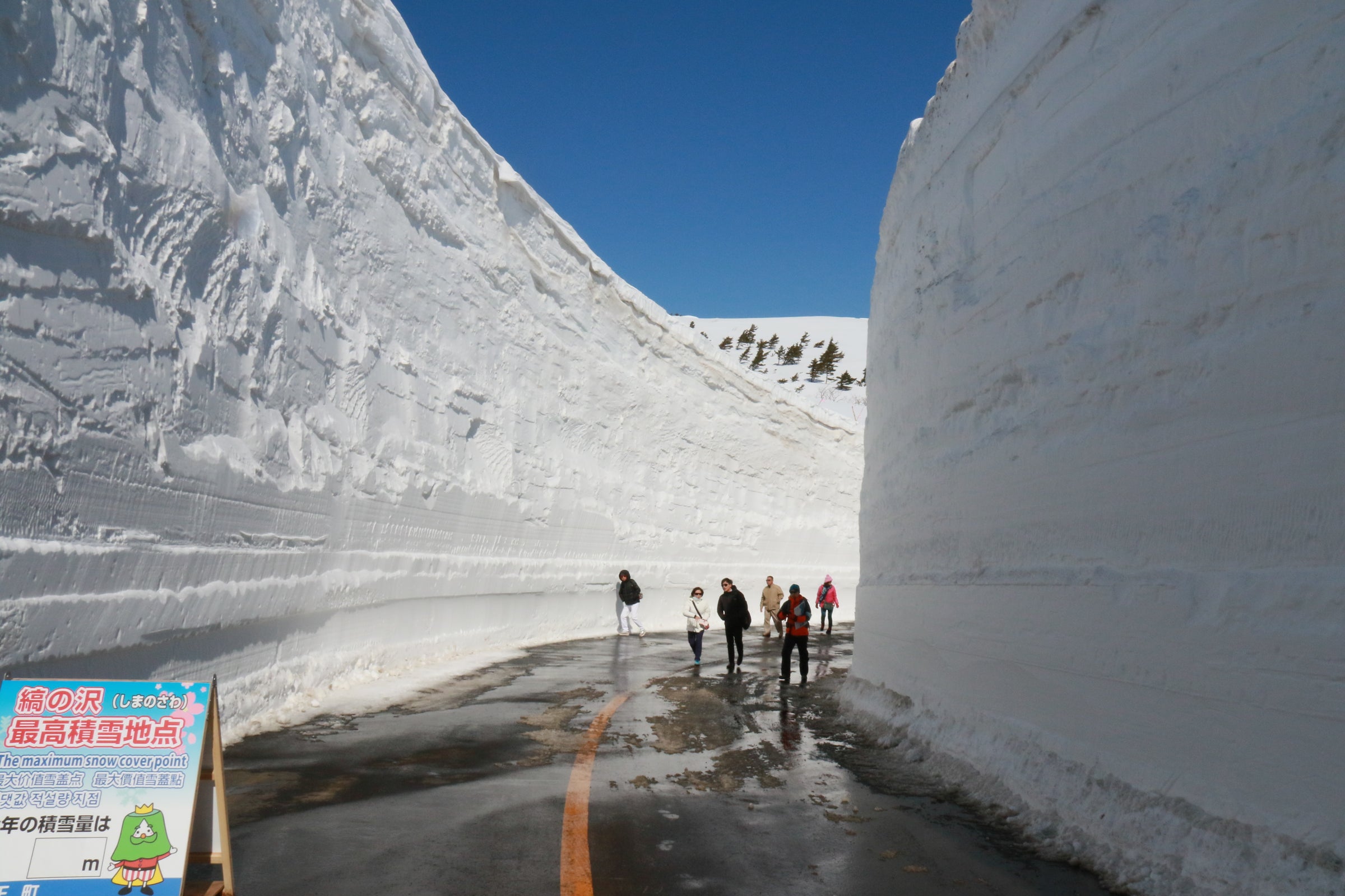 宮城県蔵王町 Miyagi Zao | 蔵王エコーライン雪の壁ウォーク Miyagi
